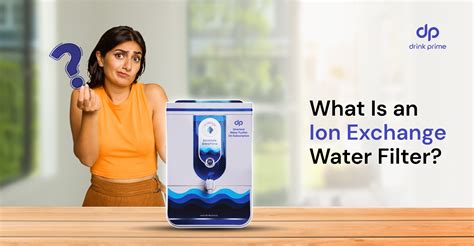 ion exchange water purifier|Ion Exchange (IX) .